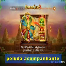 peluda acompanhante